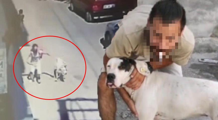 5 yaşındaki çocuğa ve bayana saldıran köpeğin sahibine mahpus talebi