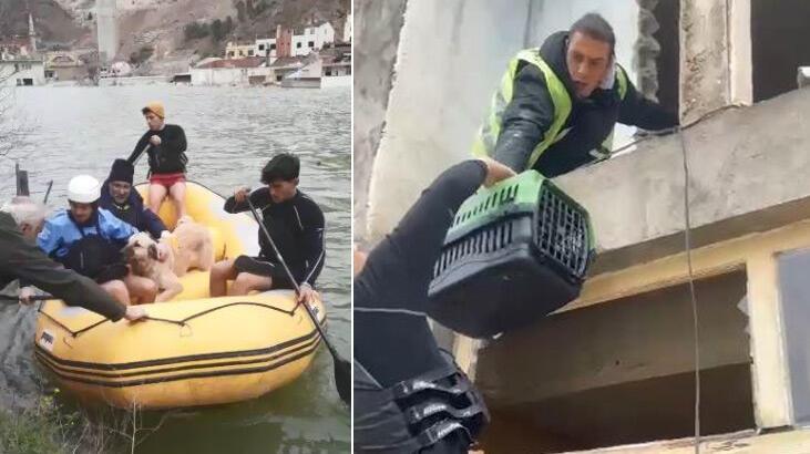 Baraj suları her yeri kapladı! Sokak hayvanları bot ile kurtarıldı