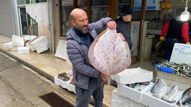 Karadeniz'de avlanan 8 kiloluk kalkan balığı 5 bin liraya satıldı