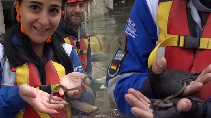 Suya gömülen ilçede yılanlar da kurtarıldı