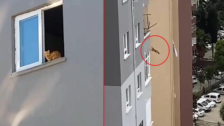 Ağır hasarlı binadan kurtarılmaya çalışılan kedi 14. kattan atladı