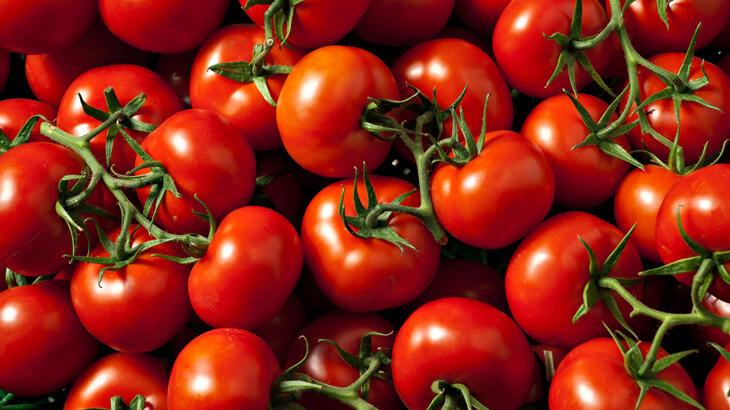 Antalya haline gelen domates ölçüsü arttı, fiyatı düştü