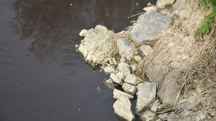 Ergene Irmağı'nın suyu için rapor: Felaket
