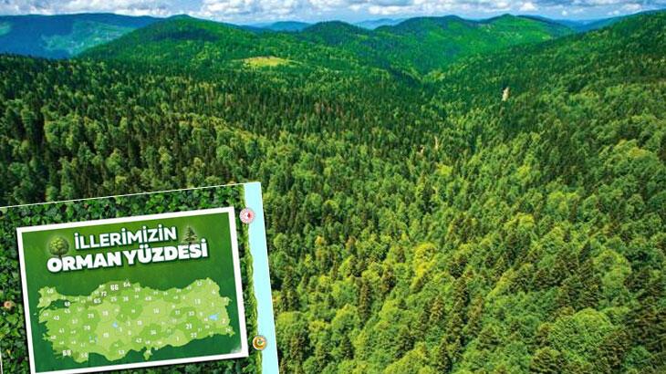 Harita ortaya çıktı! Türkiye'nin en yeşil kentleri