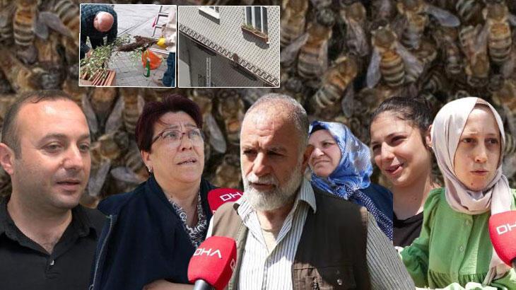 İstanbul'da birçok ilçede arı tedirginliği! 'Ölüme kadar götürebilir' 