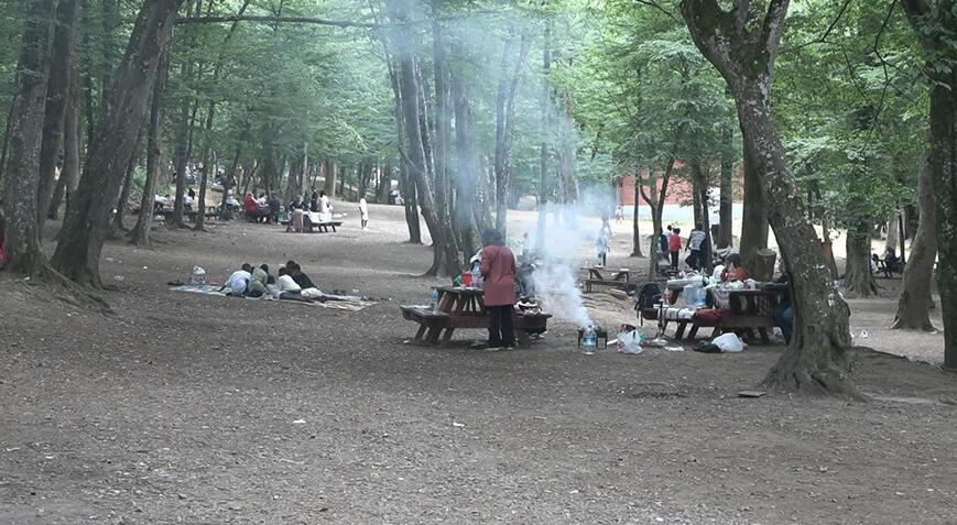 İstanbul'da kalanlar piknik alanlarına akın etti