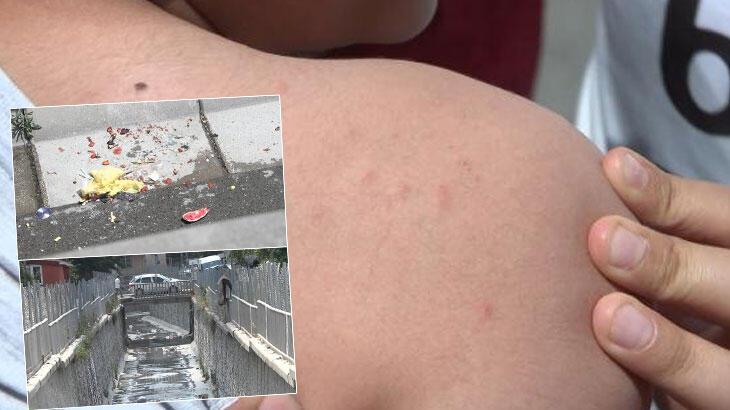 İstanbul'da sivrisinek tedirginliği! 'Çocukları dışarı çıkaramıyoruz'