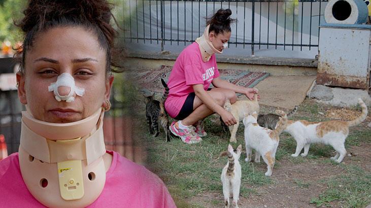 Pitbull beslediği kedilere saldırdı, tartıştığı sahibi burnunu kırdı