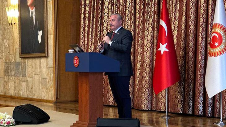 Şentop: Cumhurbaşkanı'mıza yönelik tenkitler Türkiye'ye yapılmıştır