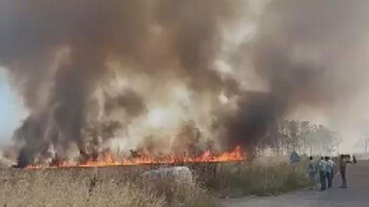 Çatalca'da tarlada yangın çıktı
