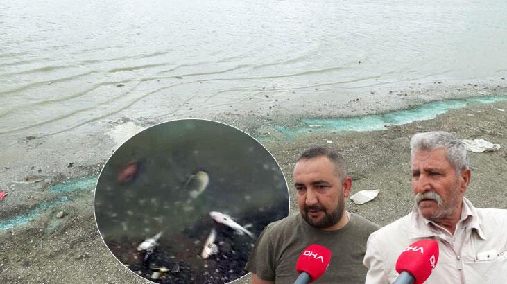 İstanbul'da huzursuz eden manzara: Buradan çıkan balığı herkes yiyor