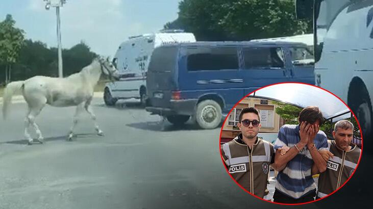 Atı minibüse bağlayıp koşturan şoför teslim oldu, suçlamaları reddetti