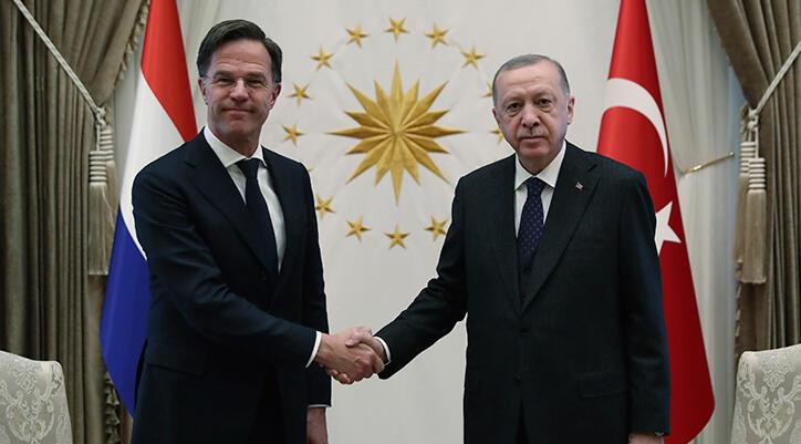 Erdoğan, Hollanda Başbakanı Rutte ile görüştü