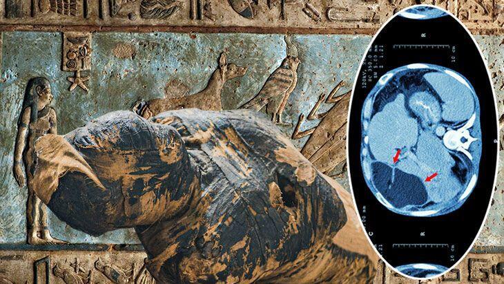 3 bin 500 yıl evvel Mısır topraklarında yayıldı! Uzmanlar asırlık soruyu yanıtladı