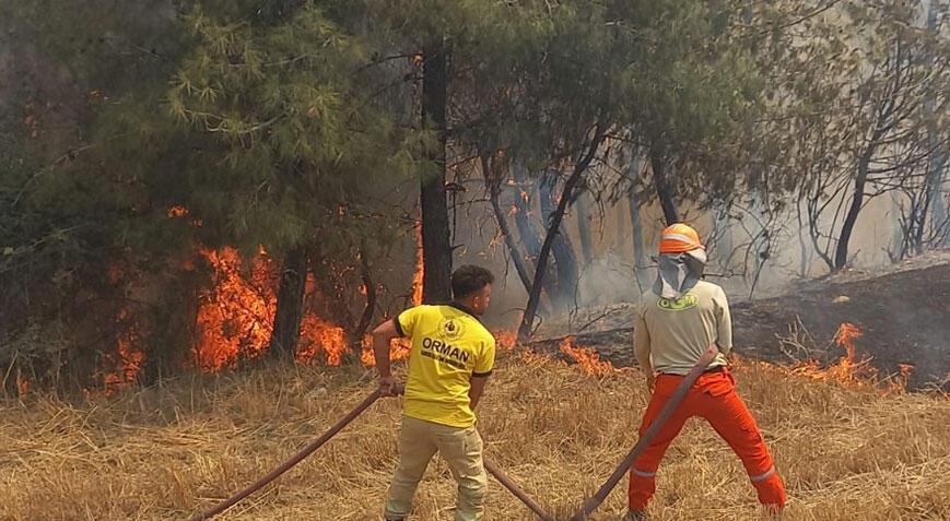 Adana ve Mersin'deki yangınlar denetim altına alındı