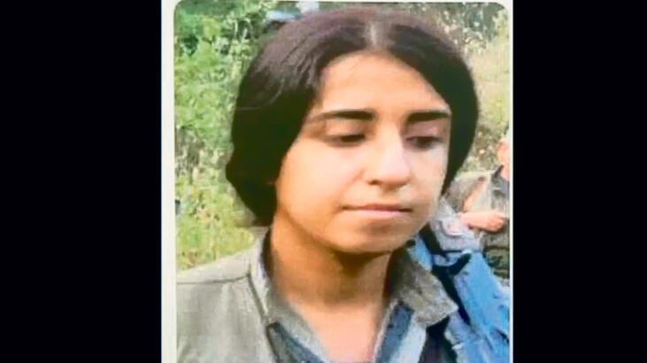 Aksiyon hazırlığındaki iki PKK’lı yakalandı