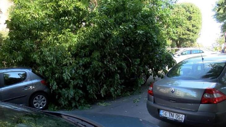 Beşiktaş'ta ağacın bir kısmı arabanın üstüne devrildi