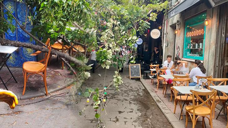 Beyoğlu'nda faciadan dönülen anlar kamerada: Ağaç devrildi, etraftakiler son anda kurtuldu
