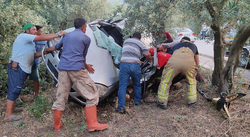 Bursa'da katliam üzere kaza! Araba zeytinliğe daldı