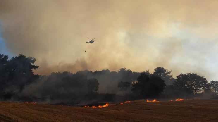 Çanakkale'de orman yangını! Takımların müdahalesi sürüyor