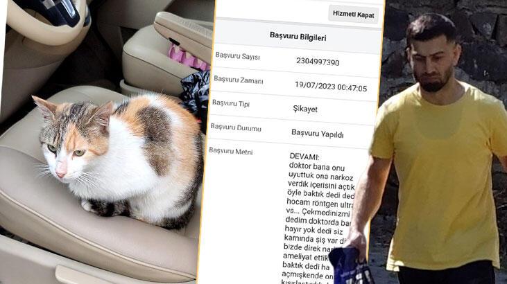 CİMER'e başvurdu: Ölen kedimin hakkını savunacağım