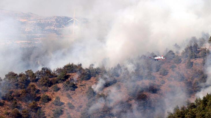 Gaziantep orman yangınında son durum! Denetim altına alındı
