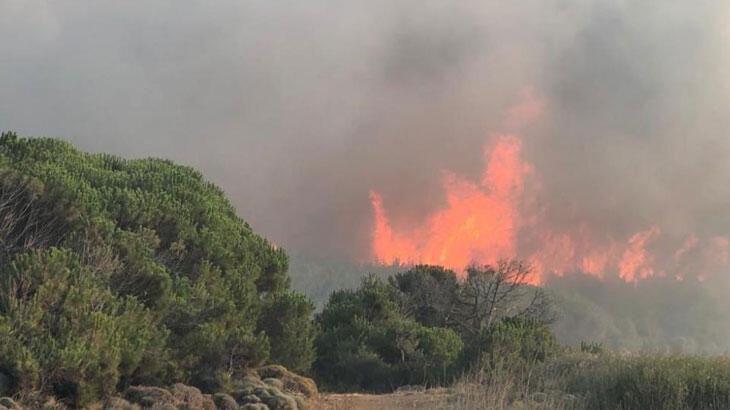 Gökçeada’daki orman yangını 16 saatte denetim altına alındı