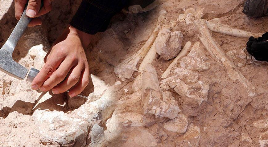 Kayseri’de heyecanlandıran keşif! Tam 7,5 milyon yıllık
