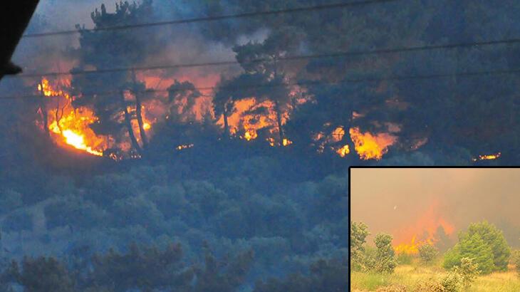 Manisa'daki orman yangınının sebebi ortaya çıktı! 1 kişi tutuklandı