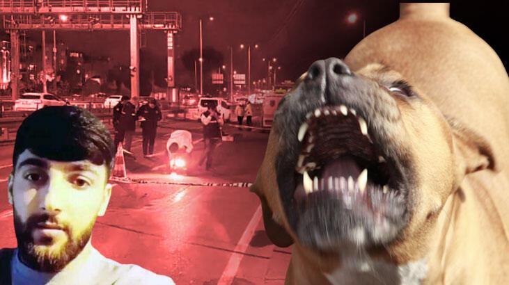 Pitbull taarruzunda 1 kişinin vefatına neden olmuştu! O polis hakkında birinci duruşmada karar