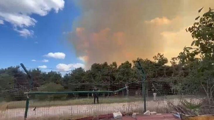 Son dakika: İstanbul'da orman yangını