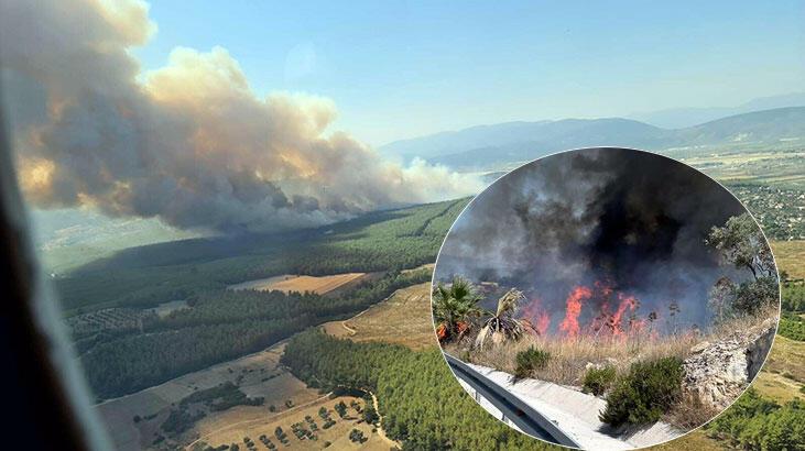 Sorumsuzluk yangına neden oldu! Milas'ta 160 hektar küle döndü