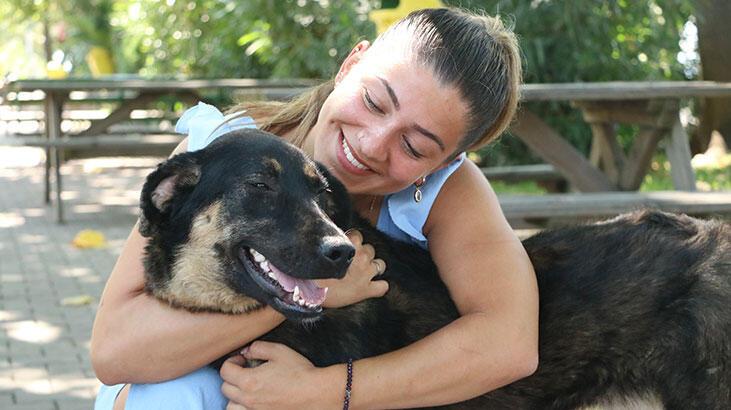 Zonguldak'taki sokak köpeği Almanya'ya sahiplendirildi