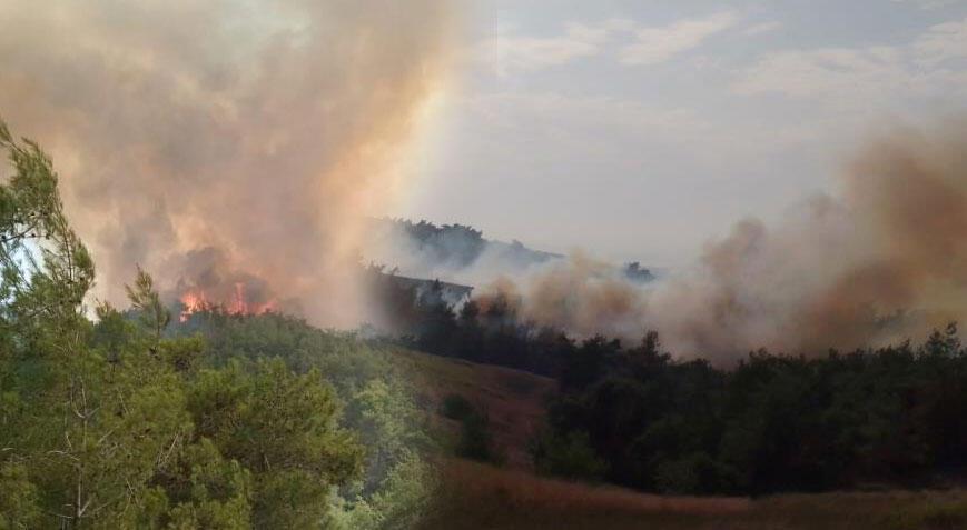 Adana'da orman yangını! Müdahale başladı