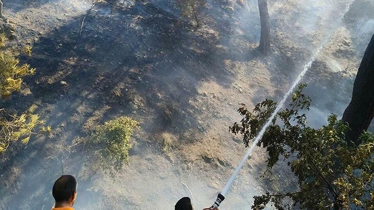 Balıkesir'de orman yangını! Gruplar müdahaleye başladı