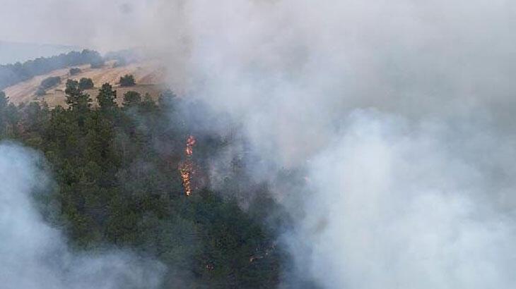 Bolu'da orman yangını! 26,5 saat sonra güzel haber