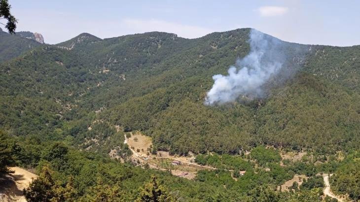 İskenderun'da orman yangını! Gruplar müdahale ediyor
