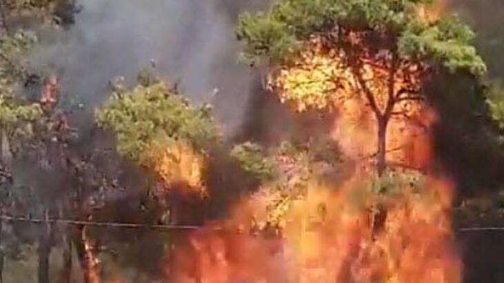 Muğla'daki yangının çıkış anı ortaya çıktı! Olay anında bir araba uzaklaştı