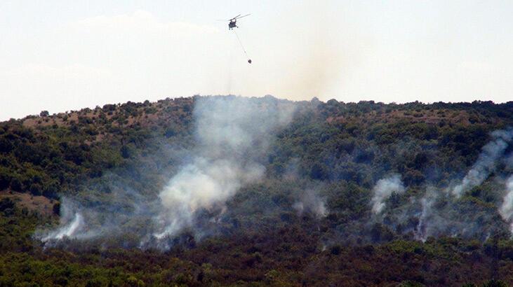 Türkiye-Bulgaristan hududunda orman yangını