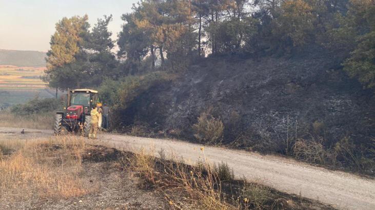 Bursa'nın Karacabey ilçesinde orman yangını! Çıkış nedeniyle ilgili flaş açıklama