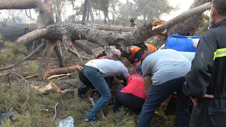 Çanakkale'de orman yangını: Müdahale sırasında ağaç üzerine devrildi