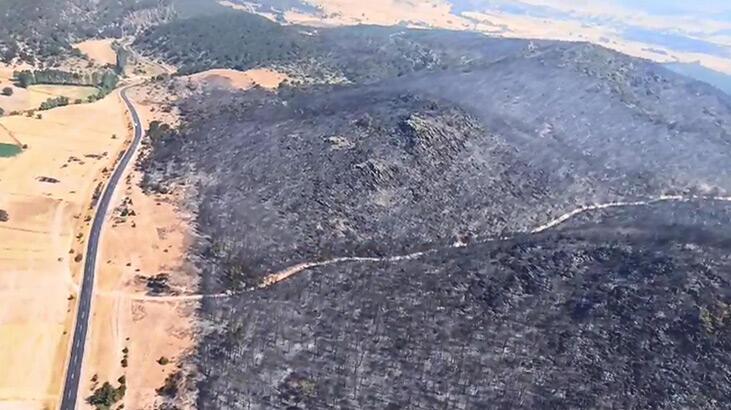Eskişehir'deki orman yangının denetim altına alındı