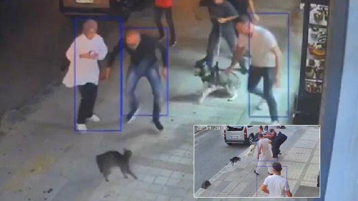 İstanbul'da mahallelinin 'Duman' şaşkınlığı! 'Sibirya kurduna saldırdı'