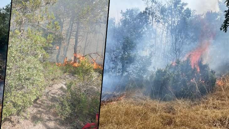 Kütahya'daki orman yangını denetim altına alındı! 35 hektarlık alan ziyan gördü