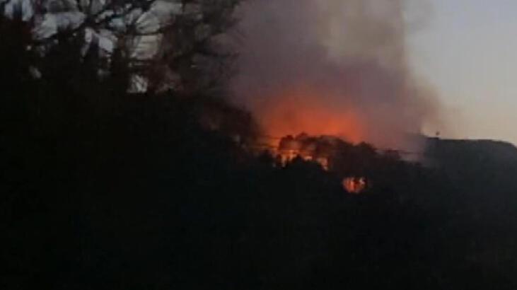 Maltepe'de orman yangını! Takımlar müdahale ediyor