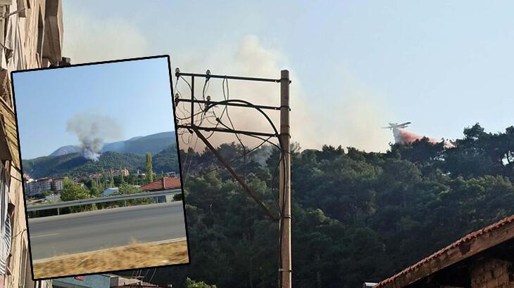 Manisa ve İzmir'de orman yangını! Takımlar müdahale ediyor