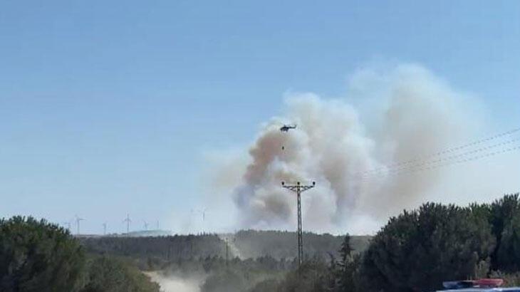 Silivri’de orman yangını denetim altına alındı! Kaymakamdan açıklama