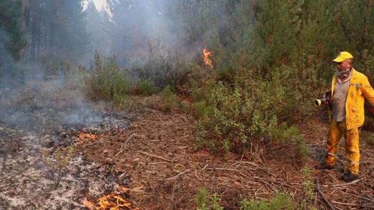 Son dakika: Eskişehir'de orman yangını