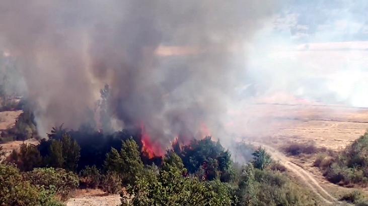 Tosya'da çıkan yangın 1 saatte denetim altına alındı